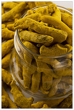 Turmeric Finger Manufacturer Supplier Wholesale Exporter Importer Buyer Trader Retailer in Jodhpur Rajasthan India